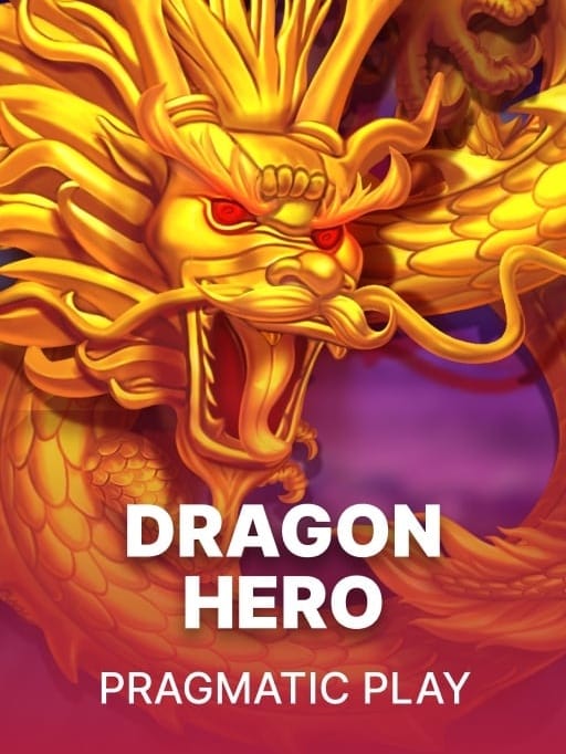 Dragon Hero icon
