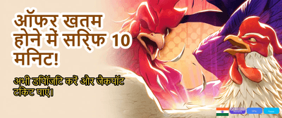 Download the Rajbet App Now